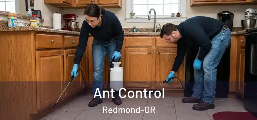 Ant Control Redmond-OR