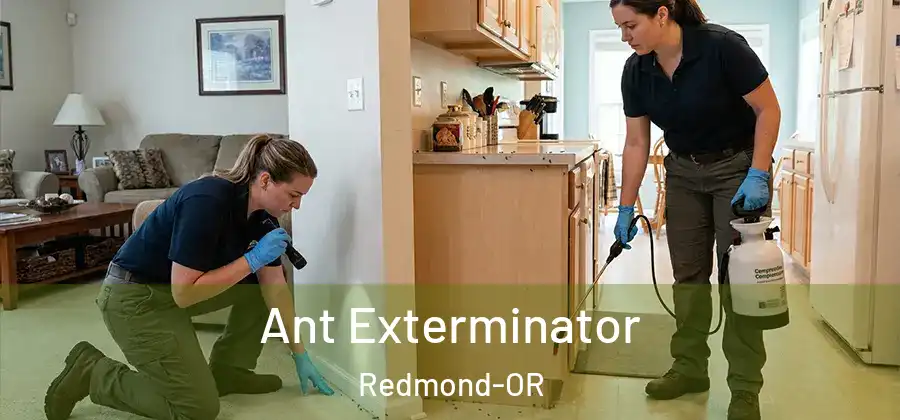 Ant Exterminator Redmond-OR