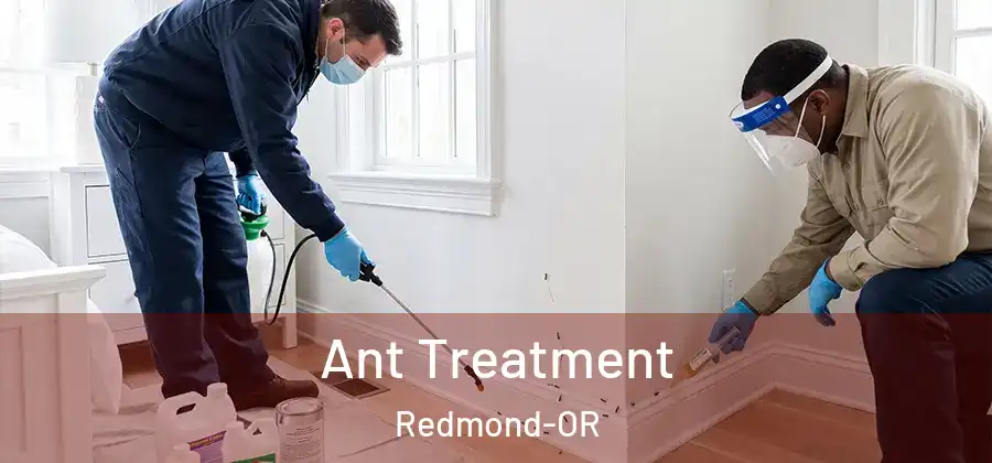 Ant Treatment Redmond-OR