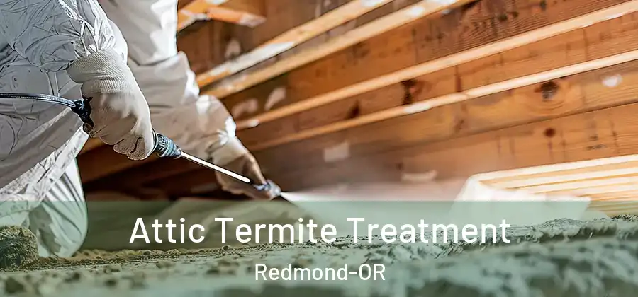 Attic Termite Treatment Redmond-OR