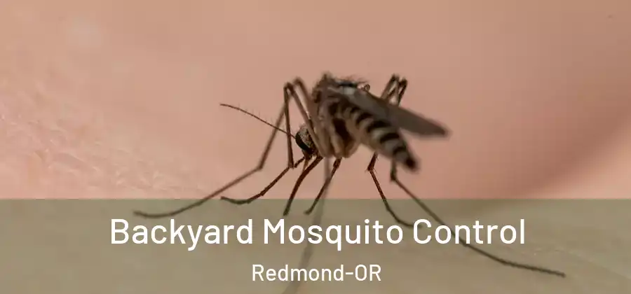 Backyard Mosquito Control Redmond-OR