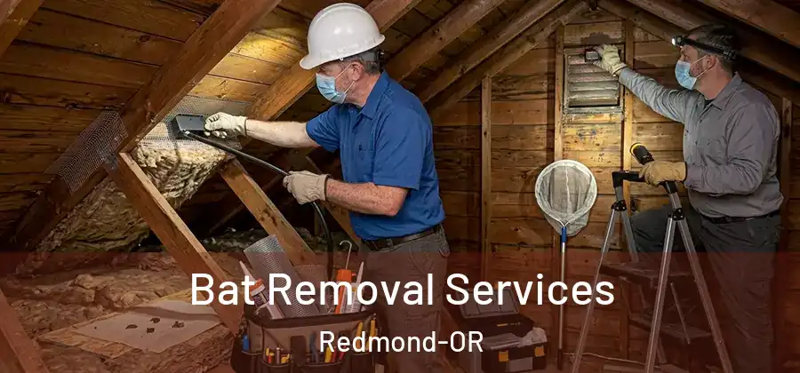 Bat Removal Services Redmond-OR