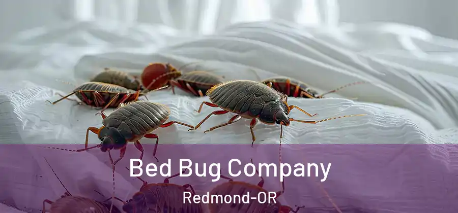 Bed Bug Company Redmond-OR
