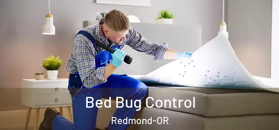 Bed Bug Control Redmond-OR