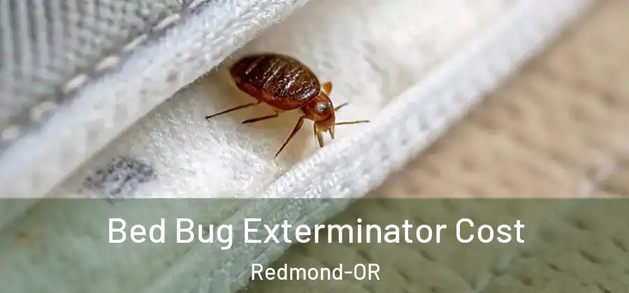 Bed Bug Exterminator Cost Redmond-OR