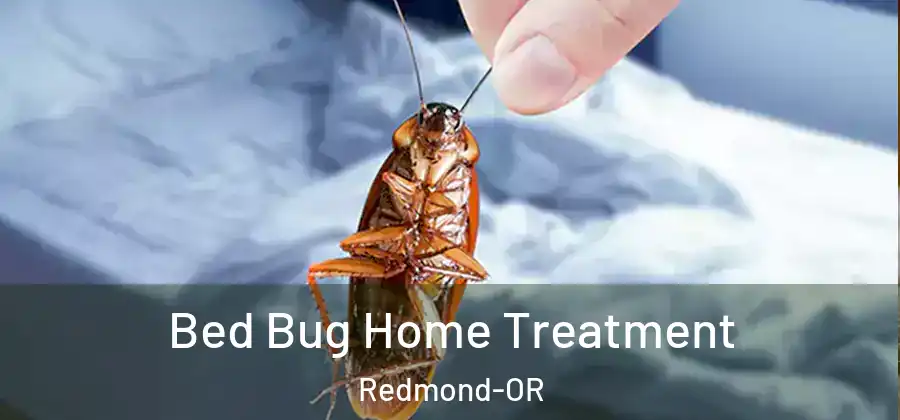  Bed Bug Home Treatment Redmond-OR
