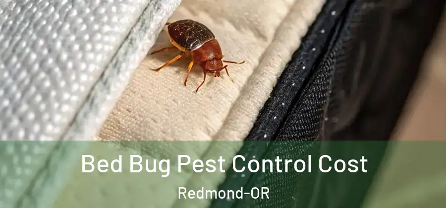 Bed Bug Pest Control Cost Redmond-OR