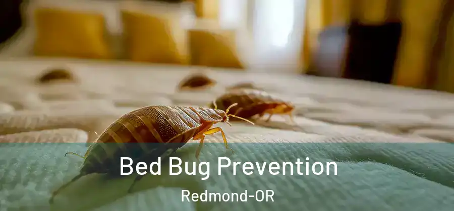 Bed Bug Prevention Redmond-OR