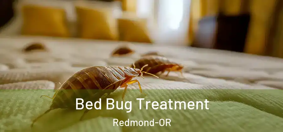 Bed Bug Treatment Redmond-OR