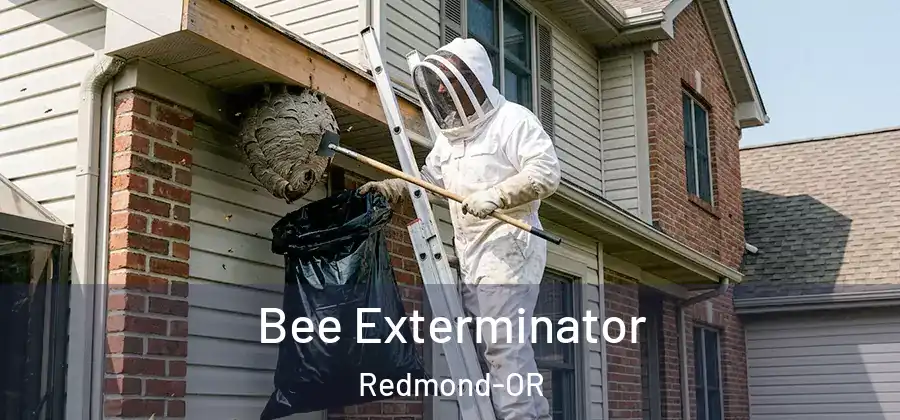 Bee Exterminator Redmond-OR