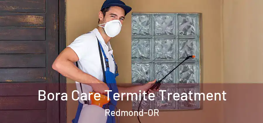 Bora Care Termite Treatment Redmond-OR