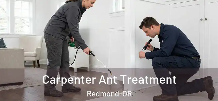 Carpenter Ant Treatment Redmond-OR
