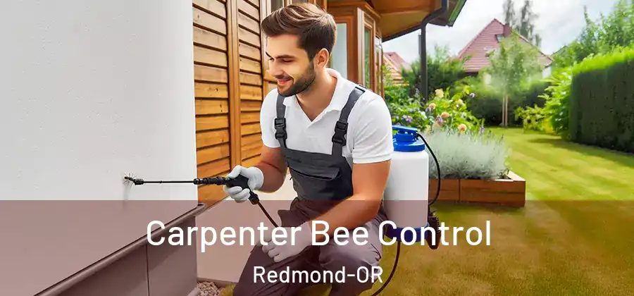 Carpenter Bee Control Redmond-OR
