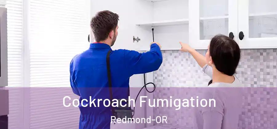 Cockroach Fumigation Redmond-OR
