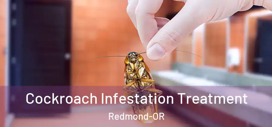 Cockroach Infestation Treatment Redmond-OR
