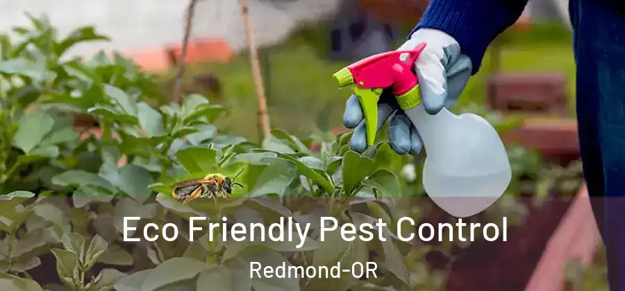 Eco Friendly Pest Control Redmond-OR