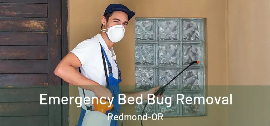 Emergency Bed Bug Removal Redmond-OR