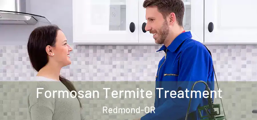 Formosan Termite Treatment Redmond-OR