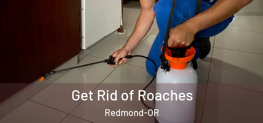Get Rid of Roaches Redmond-OR