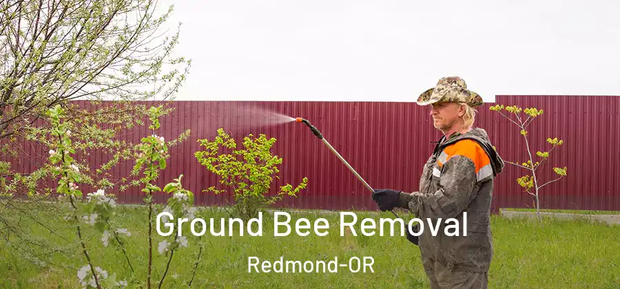 Ground Bee Removal Redmond-OR