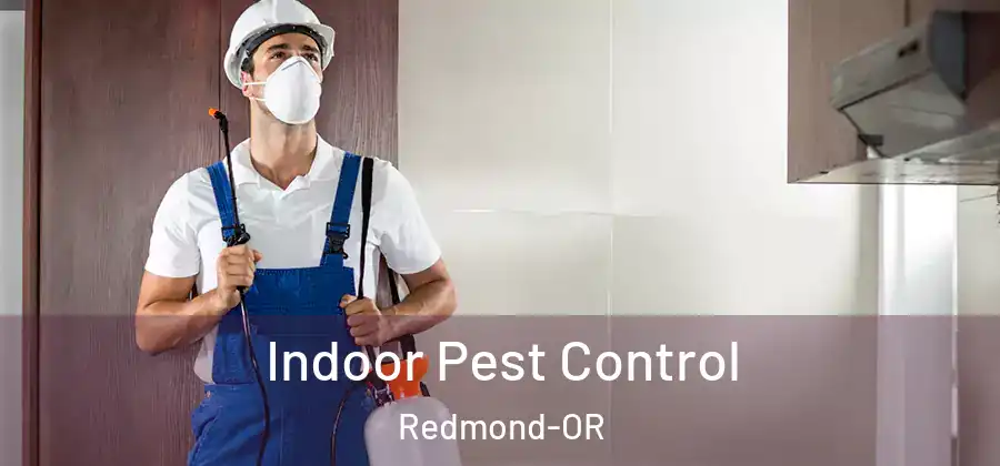 Indoor Pest Control Redmond-OR