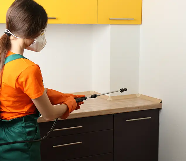 Trusted Bed Bug Pest Control Specialist in Redmond, OR