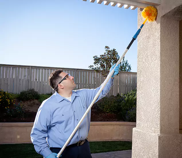 Trusted Experts in Redmond OR for Formosan Termite Treatment and Black Termite Control