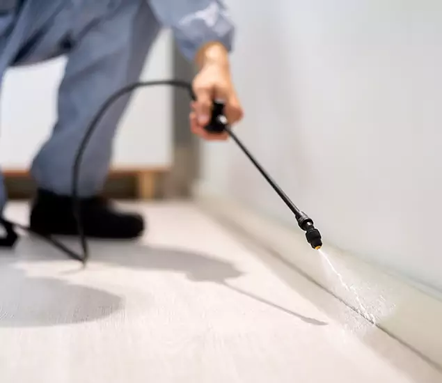 About Our Liquid Termite Treatment Experts in Redmond, OR