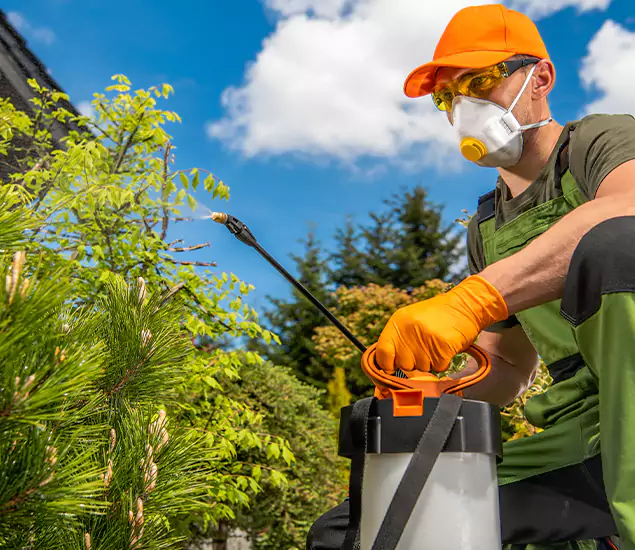 Your Mosquito Repellent Barrier Service in Redmond, OR