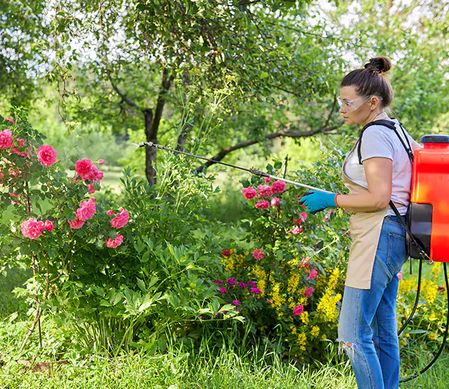 Your Trusted Mosquito Exterminator in Redmond, OR