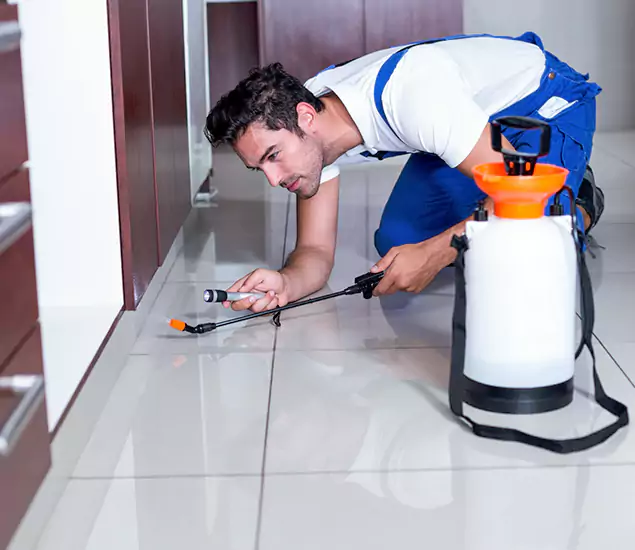 Reliable Professional Mouse Removal: Your Best Mouse Control Company in Redmond, OR