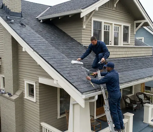 Your Pigeon Control Experts in Redmond, OR