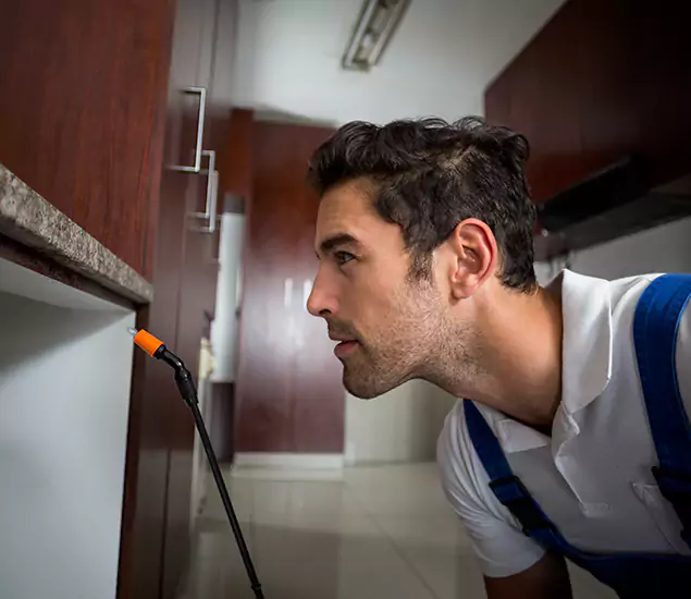 Expert Rodent in Attic Removal: Your Proven Pest Specialists in Redmond, OR