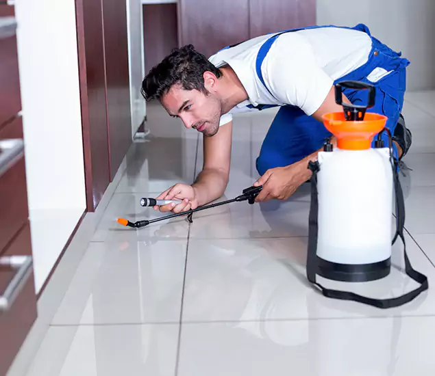 Advanced Slab Termite Treatment Experts You Can Trust&nbsp;in Redmond, OR
