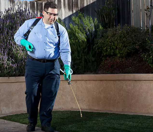 Reliable Termite Barrier Treatment Experts in Redmond, OR