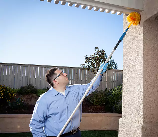 Your Trusted Wasp Removal Company in Redmond, OR