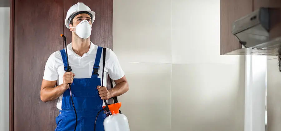 Per Room Bed Bug Cost in Redmond