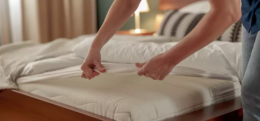 Bed Bug Extermination Services in Redmond