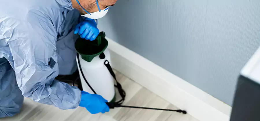 Fumigate Apartment Roaches in Redmond