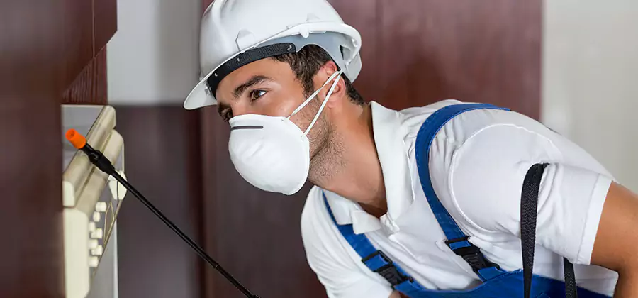 Injection Foam Treatment for Drywood Termites in Redmond