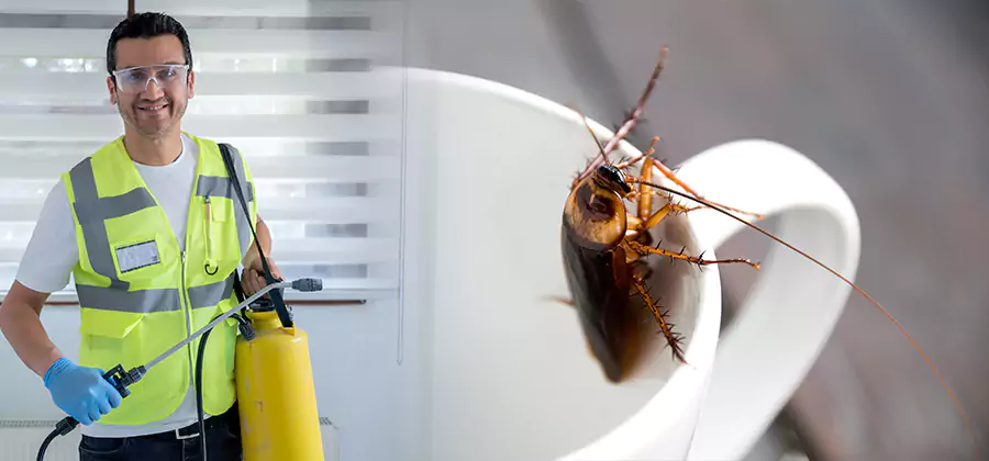 German Roach Infestation Treatment Redmond
