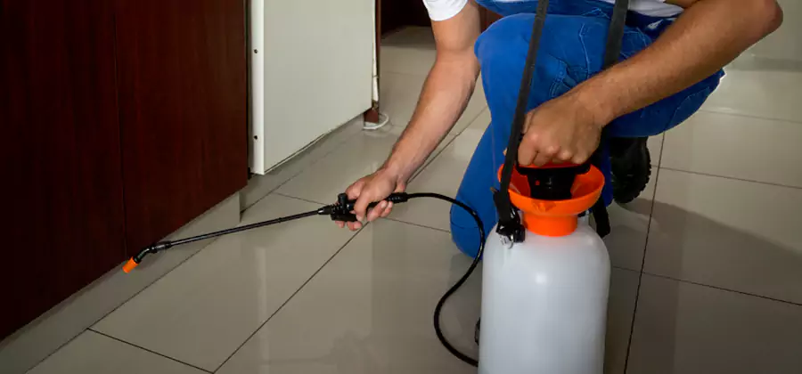 Indoor Mosquito Treatment in Redmond