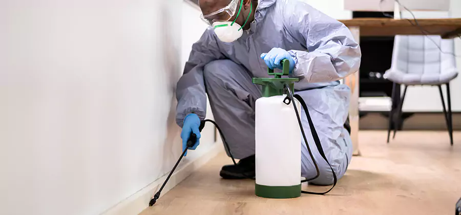 Long Lasting Mosquito Treatment in Redmond