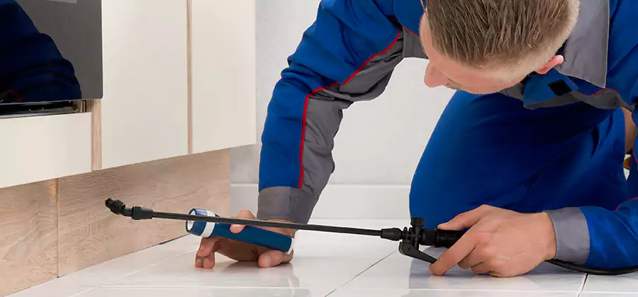 Moisture Treatment For Termite Control Service in Redmond