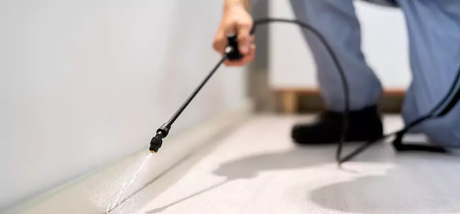 Direct Termite Injection Treatment in Redmond