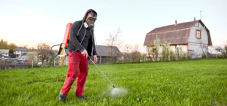 Flea and Tick Pest Control in Redmond