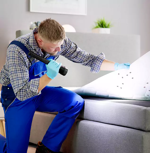 Why Choose Redmond Pest Control Pro for Bed Bug Exterminator Cost in Redmond, OR?