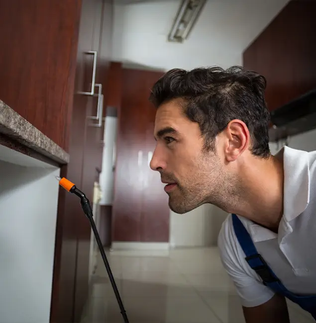 Why Choose Redmond Pest Control Pro for Bed Bug Removal Cost in Redmond, OR?