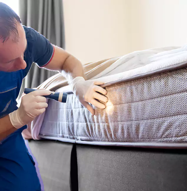 Why Choose Redmond Pest Control Pro for Bed Bug Services in Redmond, OR?