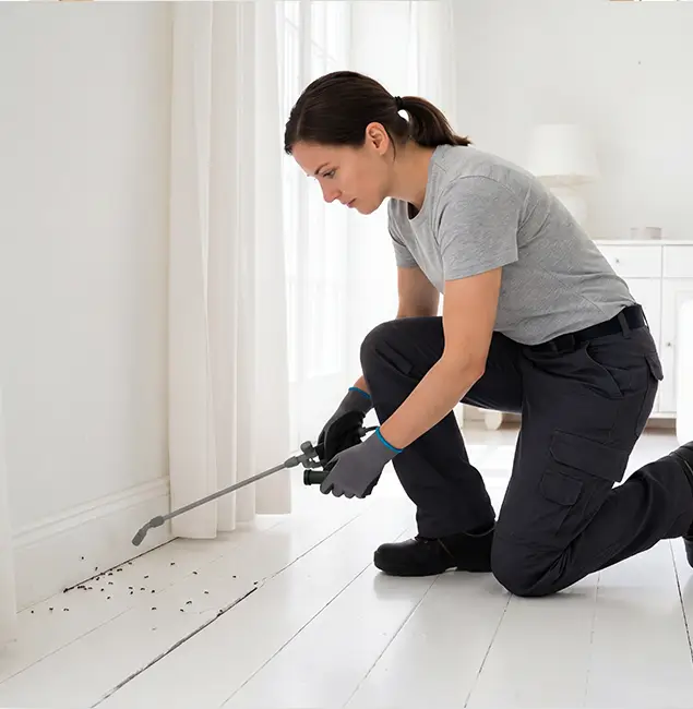 Why Redmond, OR Property Owners Trust Redmond Pest Control Pro for Fire Ant Control?